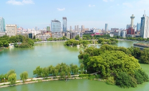 包含全国青少年“绿色城篮球赛”在福州盛大举行，践行绿色低碳生活的词条