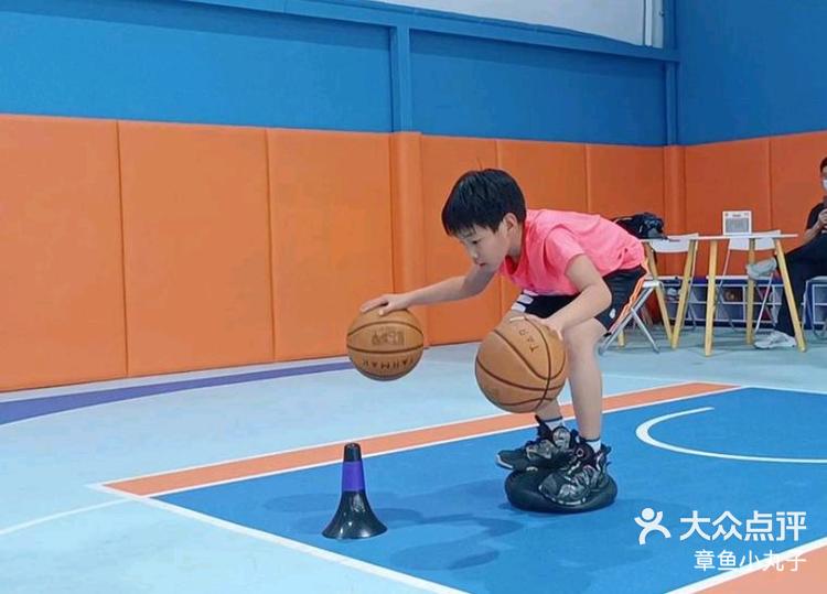 新秀之路：未来篮球之星的成长轨迹的简单介绍