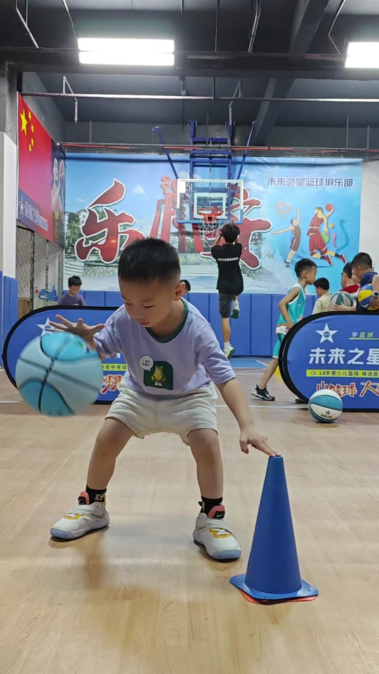 新秀之路：未来篮球之星的成长轨迹的简单介绍