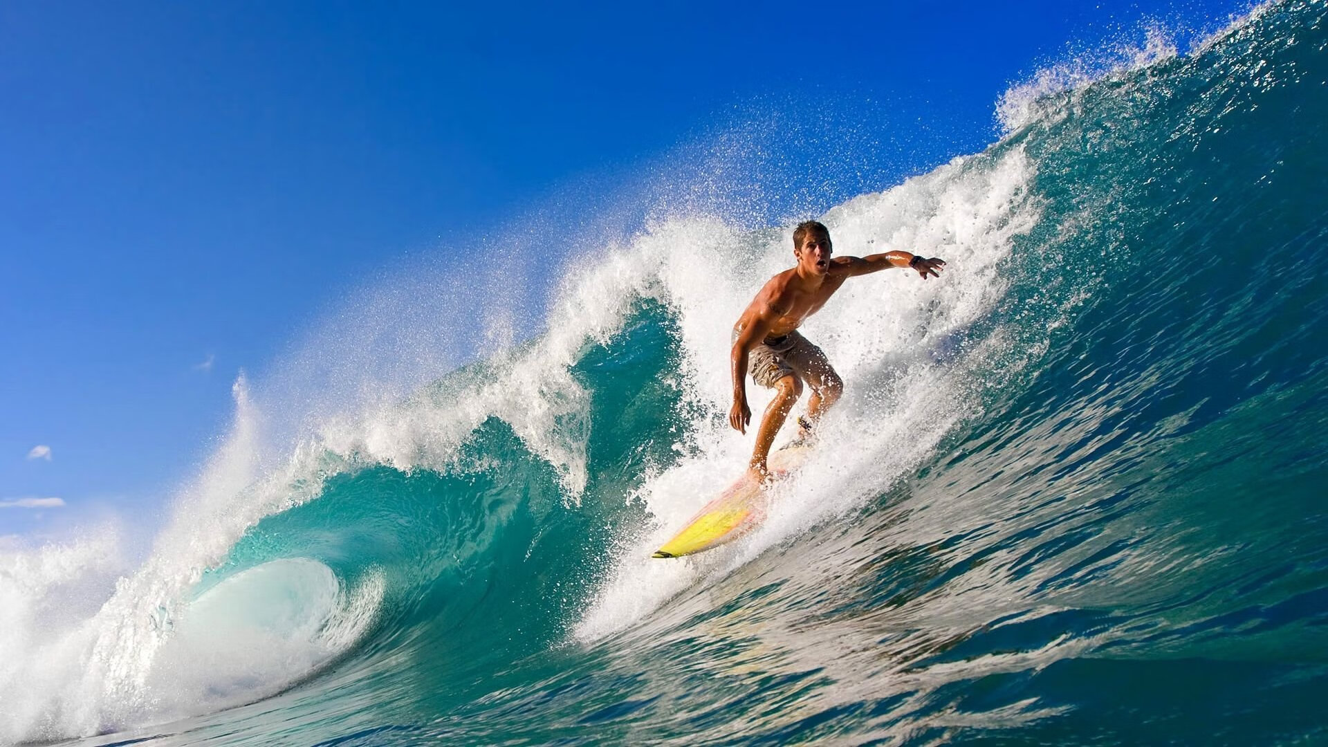 _传统武术表演结合现代比赛，展现文化魅力_，传统武术比武