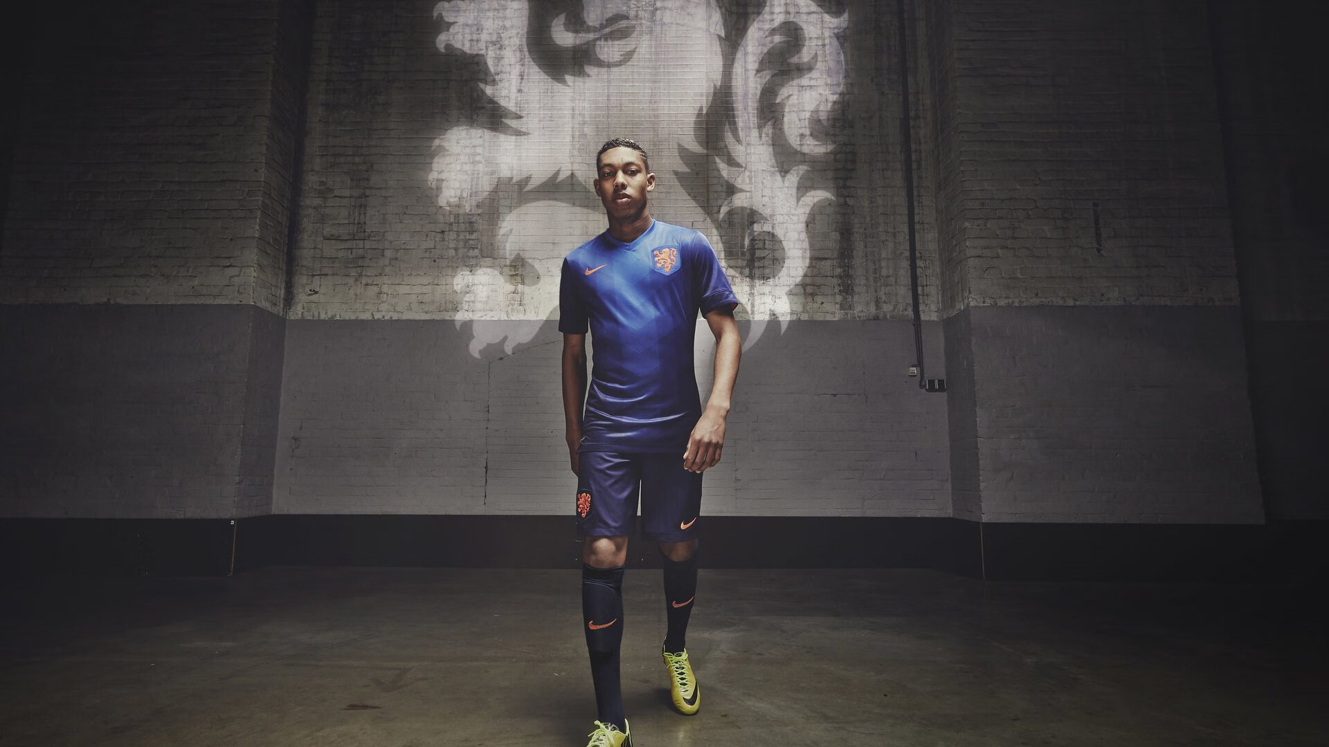 海底潜水摄影争霸，展现深海美丽风光，海底潜水照片