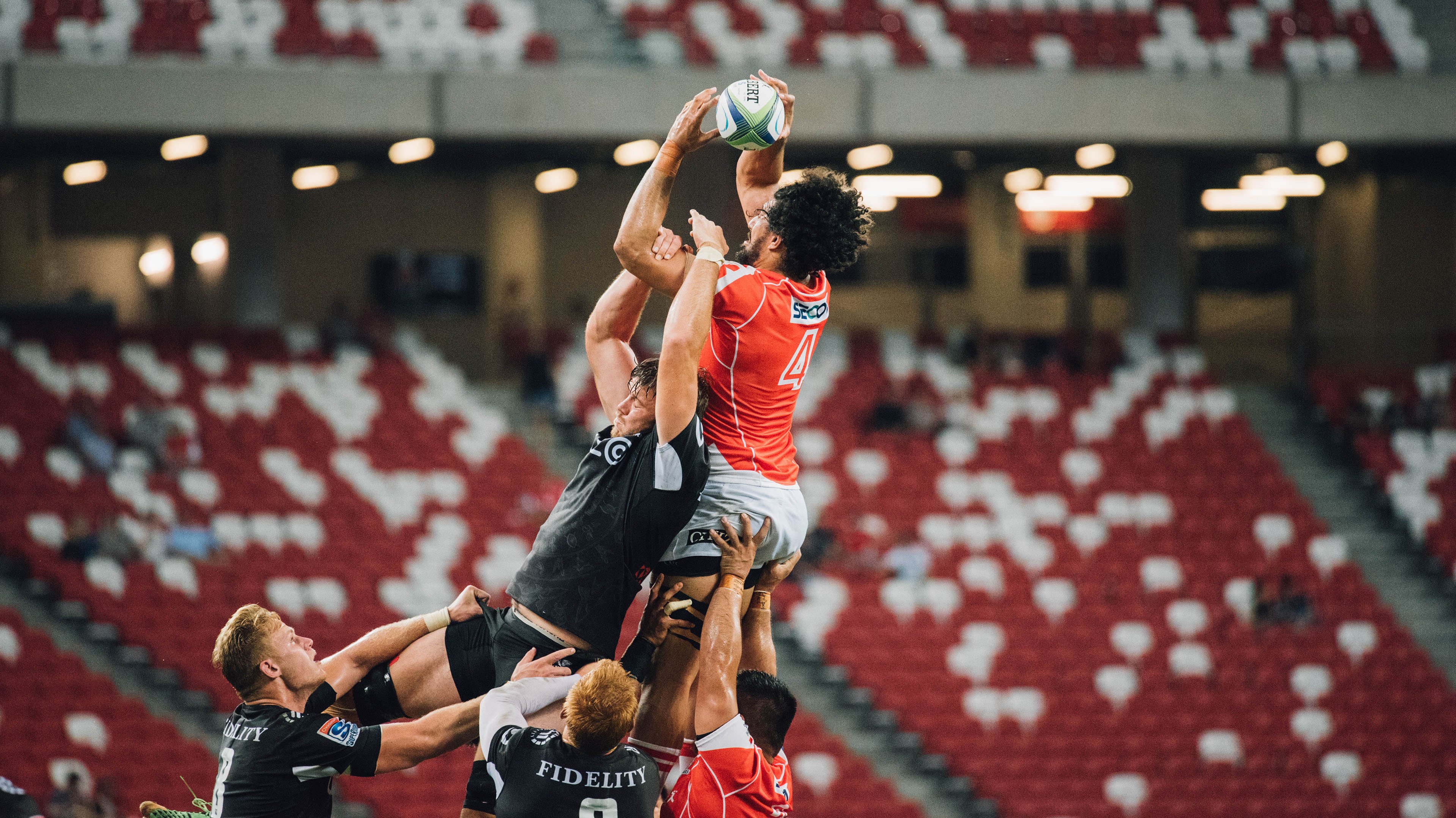 海底潜水摄影争霸，展现深海美丽风光，海底潜水照片